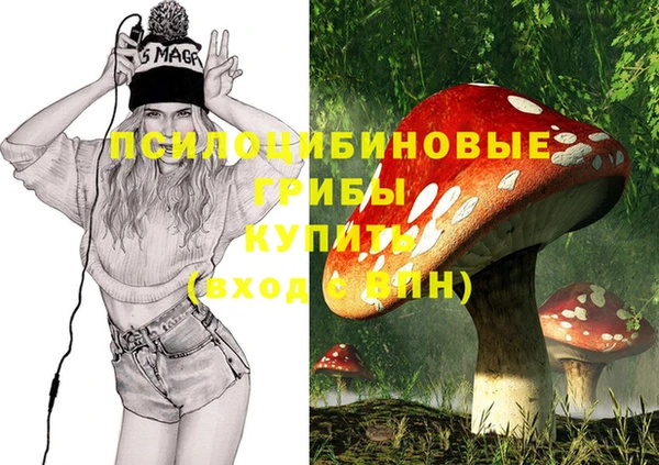 прущие крисы Коряжма