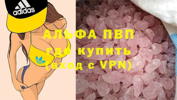 дживик Корсаков
