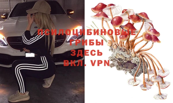 а пвп мука Костерёво