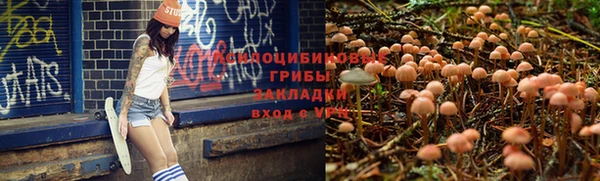 прущие крисы Коряжма