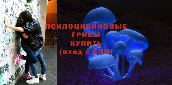 прущие крисы Коряжма