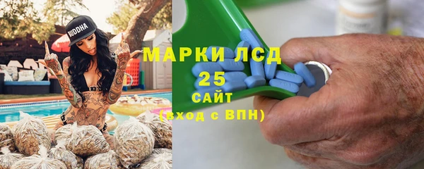 шишки Краснослободск