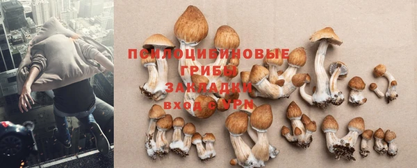 шишки Краснослободск
