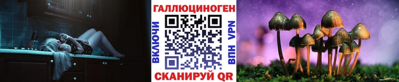 Купить закладки  Бобров  Псилоцибиновые грибы Psilocybine cubensis 